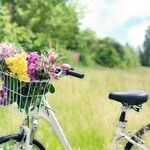 Undesirable Music Major and Biking Around Town