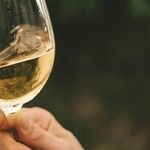 Older White Wines