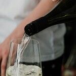 Chenin Blanc