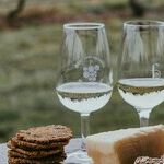 Wine Column Points vs. Style