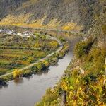 Topic: Why Some Wines Are Pricy