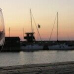 An Ode to Zin