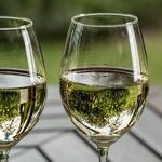 Sauvignon Blanc