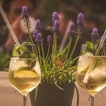 Free Wine