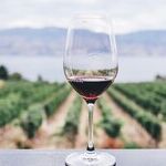 Grenache