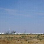 American Energy Will Help Defeat Terrorism