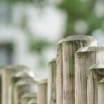 We Need Tax Reform, Not Tariffs