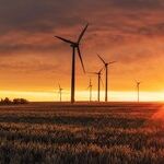 Europe's Lesson Teaches Us: Don't Go Green