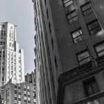 Understanding the Trump Trade Doctrine