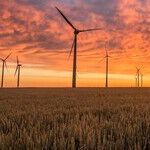 Fake Support for a Free Market In Energy