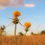 Why Trump Must Veto the Federal Land Grab Bill