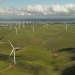 The Carbon Tax Fantasy