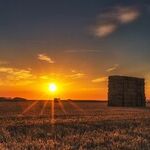 The Fed Hurts Farmers More Than China Does
