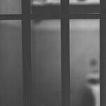 Free Mitch Rutledge