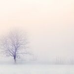 Climate Change Alarmism Takes Another Big Hit