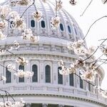 Why Did Biden Census Bureau Add 2.5 Million More Residents to Blue-State Population Count?
