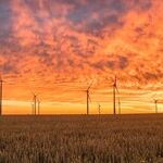 The Return of the Corporate Welfare State