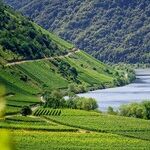 How Angela Merkel's Green Agenda Caused the Economic Collapse of Germany