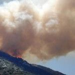 Is Modern Environmentalism a Pagan Religion?
