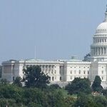Regulatory Octopus Is Strangling Our Economy