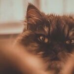 How to Not Be Grumpy