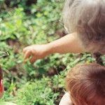 Are You a Grandparent?