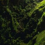 Blue Zones: Part I