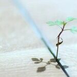 Resilience