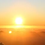 Gratitude