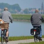 Why a Men's Shed Is a Good Idea