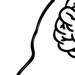 Stroke 101: Part 1