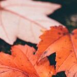 Are You Resistant to Change?
