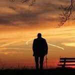 Do You Have a Morrie?