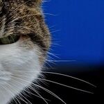 How to Not Be Grumpy