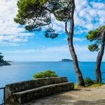 Blue Zones: Part 2