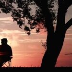 Do You Have a Morrie?
