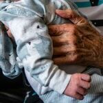 Multigenerational Living Part 1: Families