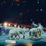 The Circus Just Arrived -- at 1600 Pennsylvania Ave.