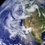 Helping the Conscious Food Movement Grow: An Interview With Alexis Gallivan