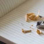 School Board Meetings Show Only That Freedom Is Messy