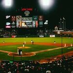Major League Baseball's C-Suite Cowardice