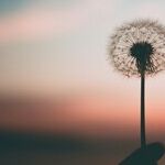 Boundaries Are Not Selfish