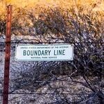 Drawing the Line With My Daughter-in-Law