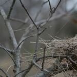 Mom Needs To Feel Needed