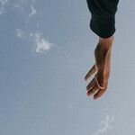 Disinherited but Not Disheartened