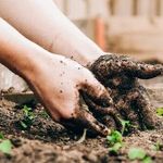 Look for the Beauty Around You