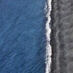 Estranged Sister Reaches Out to My Kids