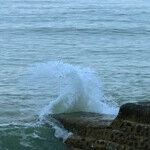 Caught Between Sister and Aunt