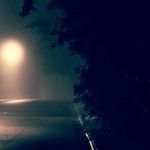 Coping With an Empty Nest at the Holidays