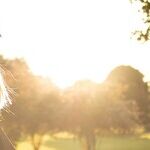 Don't Rule Out a Career Too Soon